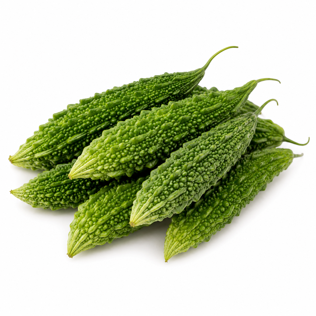 Bitter Ground (Karela)